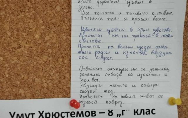 Пролетна импресия