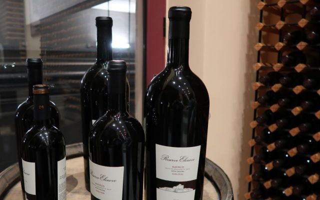 Практически занятия с представители от науката, бизнеса, публичния и неправителствения сектор [06.12.2024]