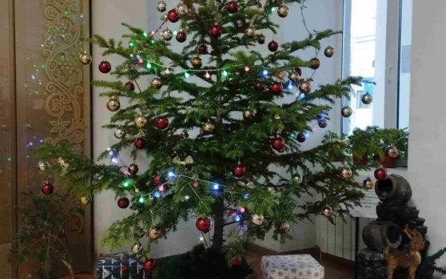 На 06.12.2024 г., Никулден, в Професионална гимназия по хотелиерство и туризъм „Академик Неделчо Неделчев“-Сливен грейнаха коледните светлини! [07.12.2024]