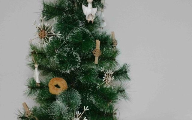На 06.12.2024 г., Никулден, в Професионална гимназия по хотелиерство и туризъм „Академик Неделчо Неделчев“-Сливен грейнаха коледните светлини! [07.12.2024]