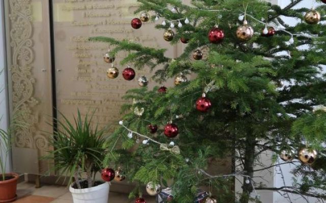 На 06.12.2024 г., Никулден, в Професионална гимназия по хотелиерство и туризъм „Академик Неделчо Неделчев“-Сливен грейнаха коледните светлини!